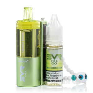 EVRFOG 100K Refillable Disposable Kit