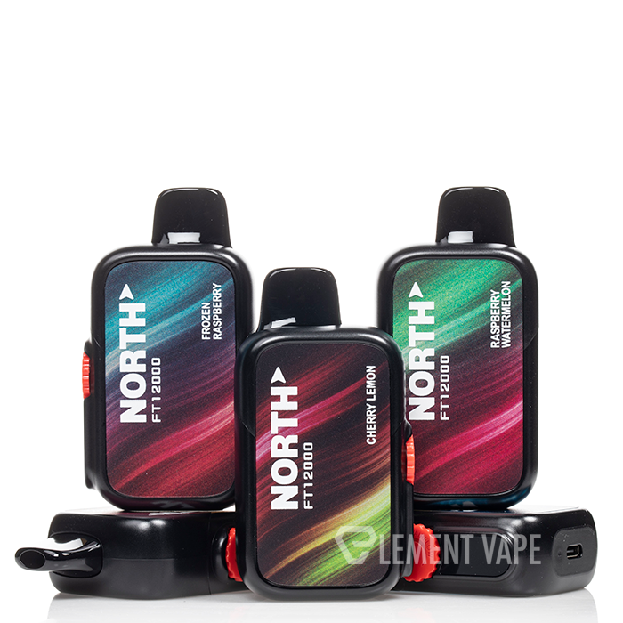 North FT12000 Disposable - Default